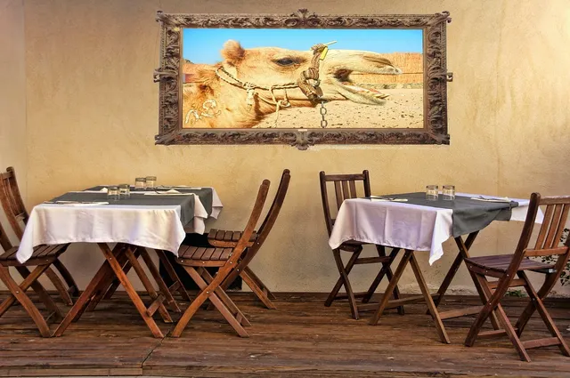 Bienvenidos